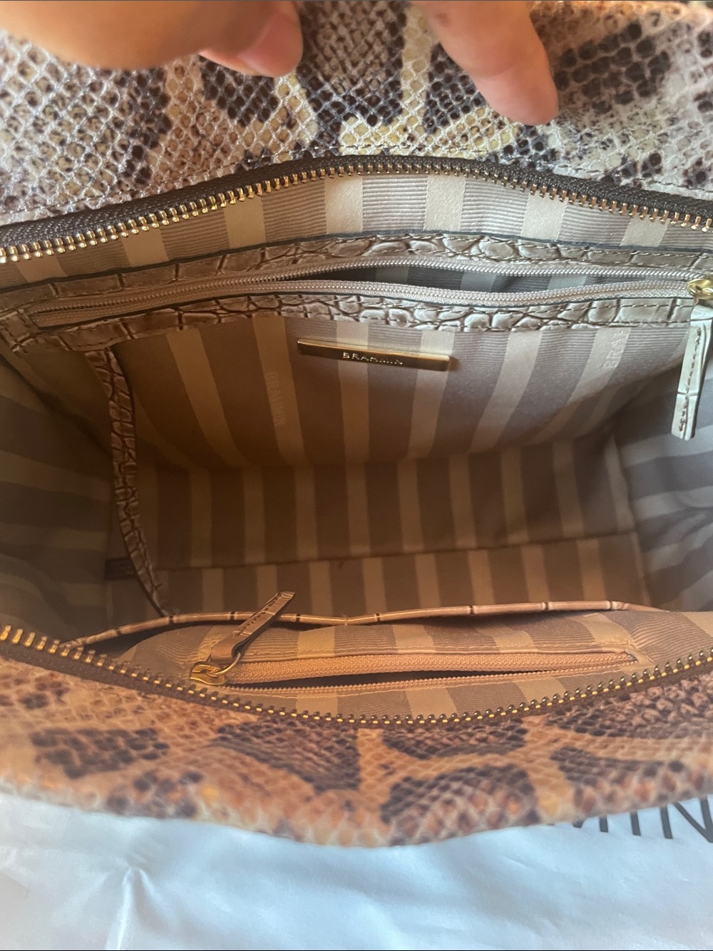 Brahmin Taupe and Brown Snake-Embossed Leather Satchel with Removable Strap - Picture 6 of 7